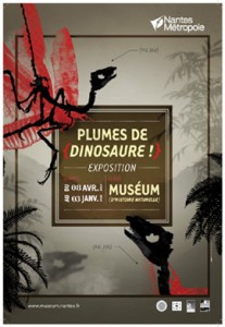 affiche-exposition-plume-dinosaure-nantes