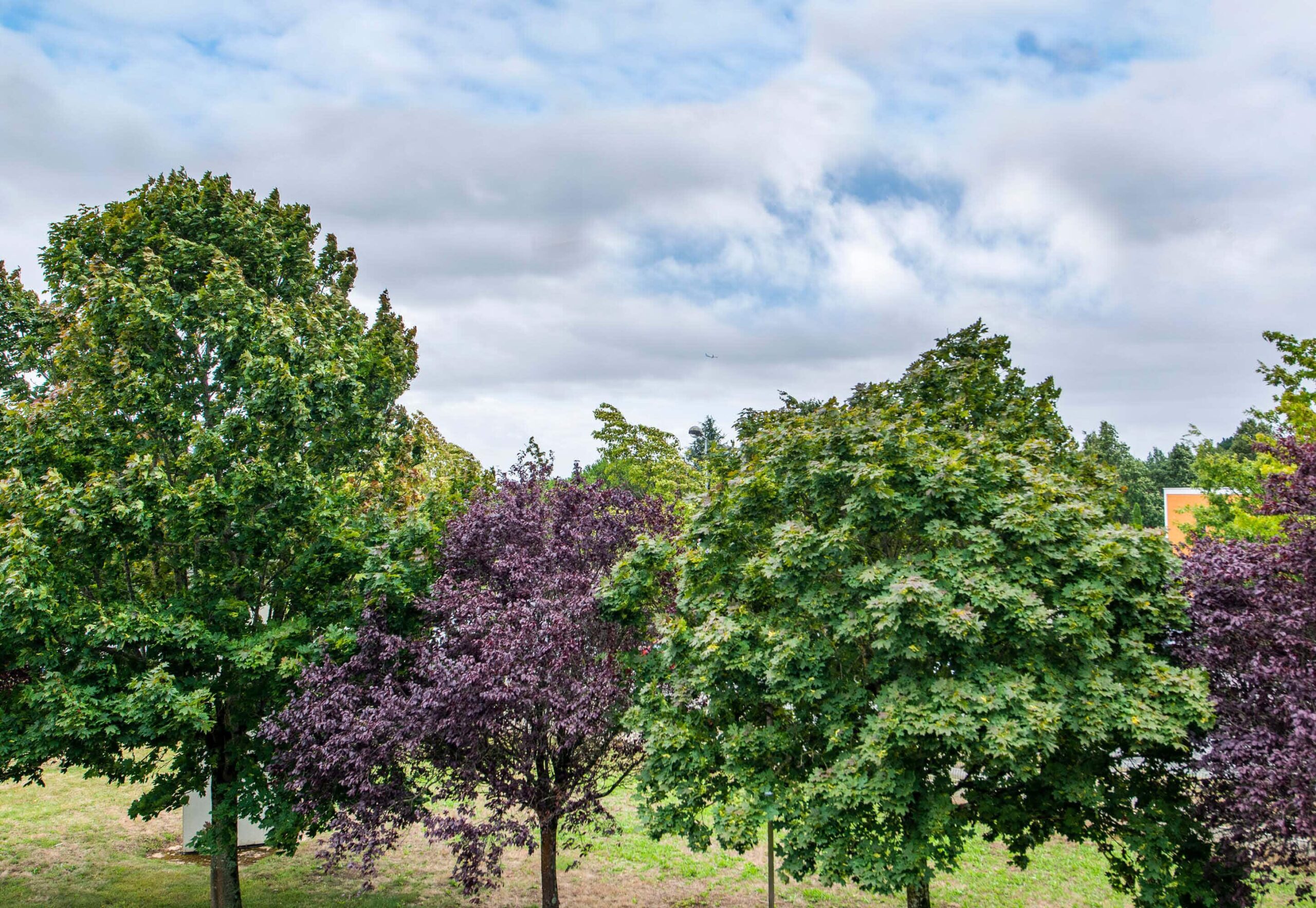 Hotel nantes la chapelle 4151 room view.cb61ca9a